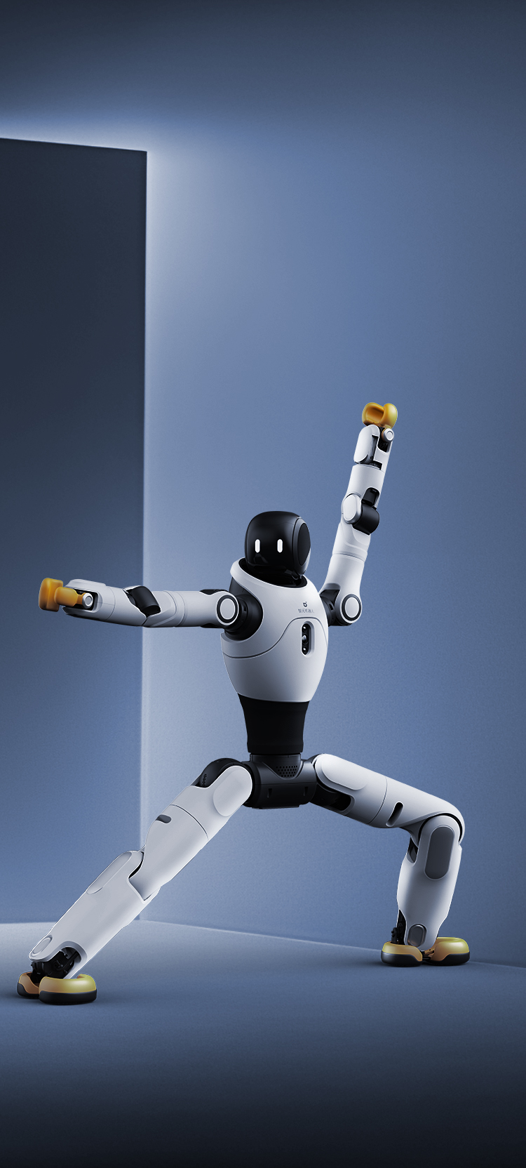 开云·Kaiyun灵犀 X2